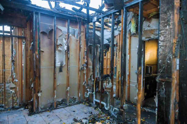Professional Soot Cleanup technician working in Nokomis, FL