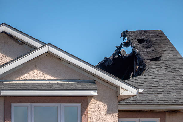 Top rated local Soot Cleanup specialists in Nokomis, FL